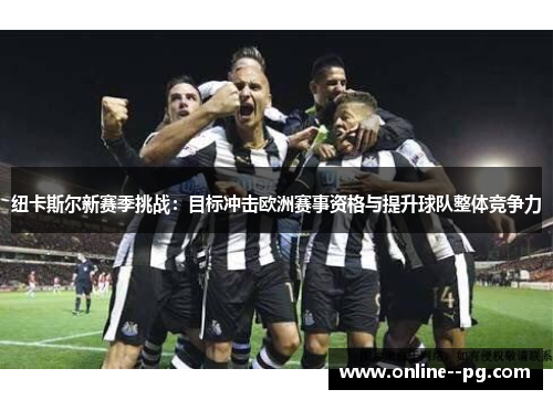 纽卡斯尔新赛季挑战：目标冲击欧洲赛事资格与提升球队整体竞争力
